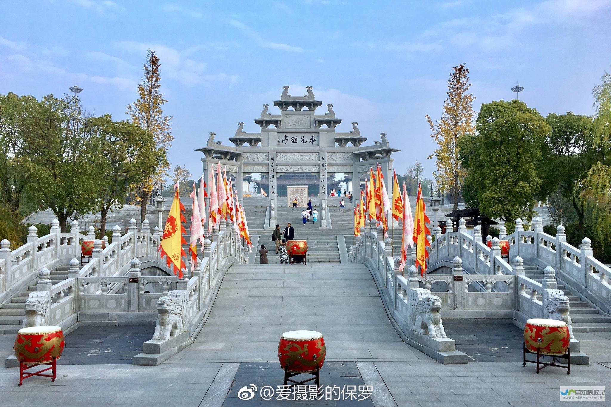 专业优化