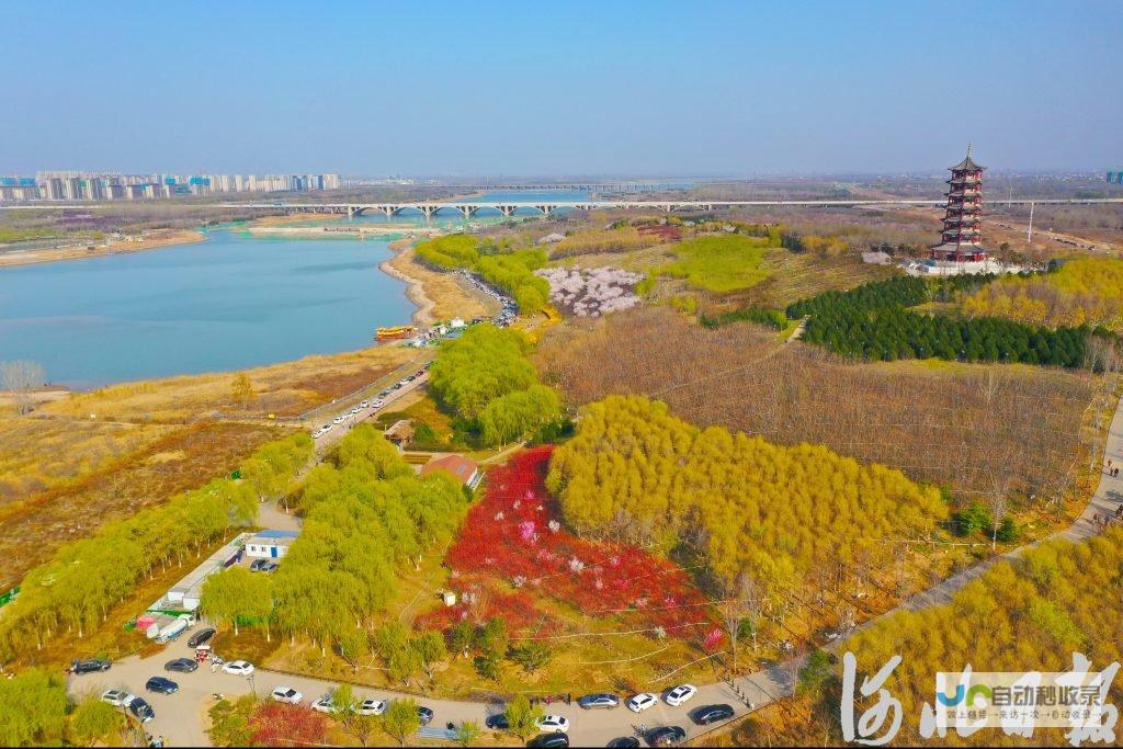 全方位石家庄网站建设服务：提升企业竞争力，引领您走向成功
