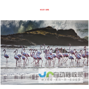 Bing每日图像分享